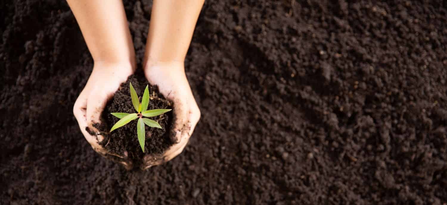 International for Agriculture Crops’ standalone profits slip 2% YoY in H1 FY2023/24